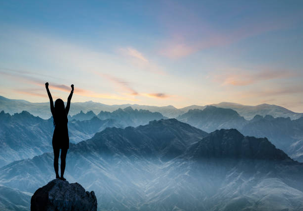 Introducing the website